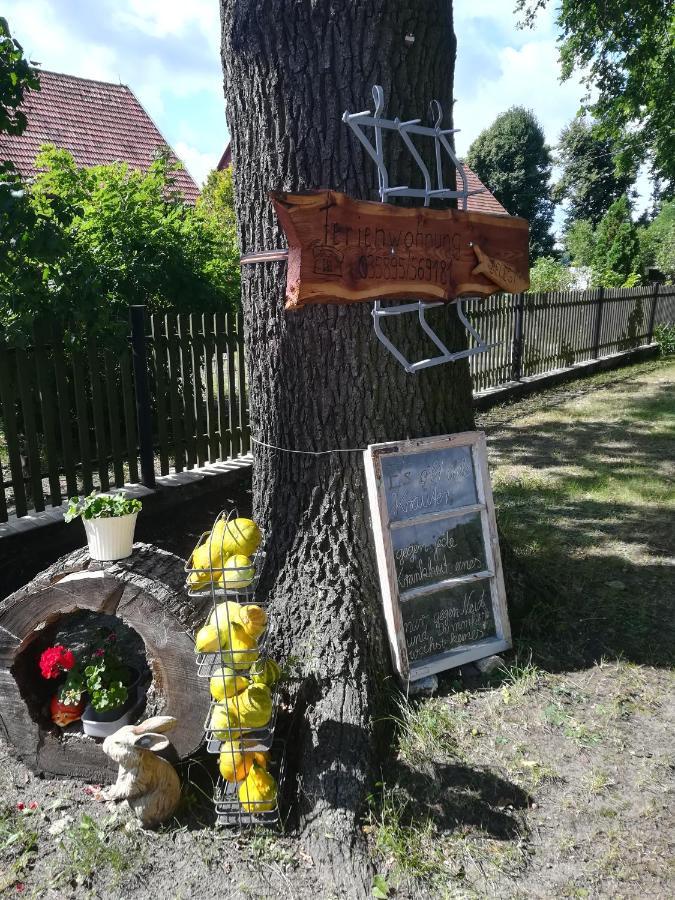 Ferienwohnung Bittner Klitten Luaran gambar