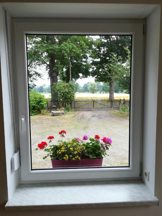 Ferienwohnung Bittner Klitten Luaran gambar